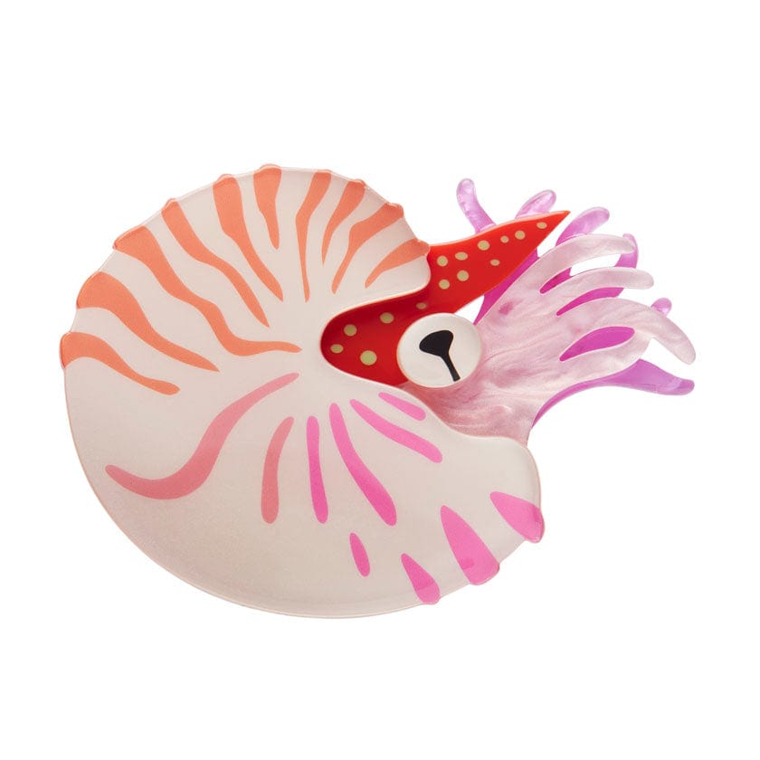 Chambered Nautilus Brooch - Erstwilder - Quirky Resin and Enamel Accessories