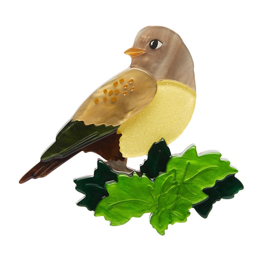 Wondrous Warbler Brooch - Erstwilder - Quirky Resin and Enamel Accessories