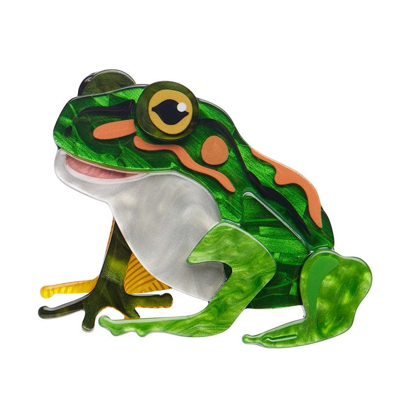 Frodo the Frog Brooch - Erstwilder - Quirky Resin and Enamel Accessories