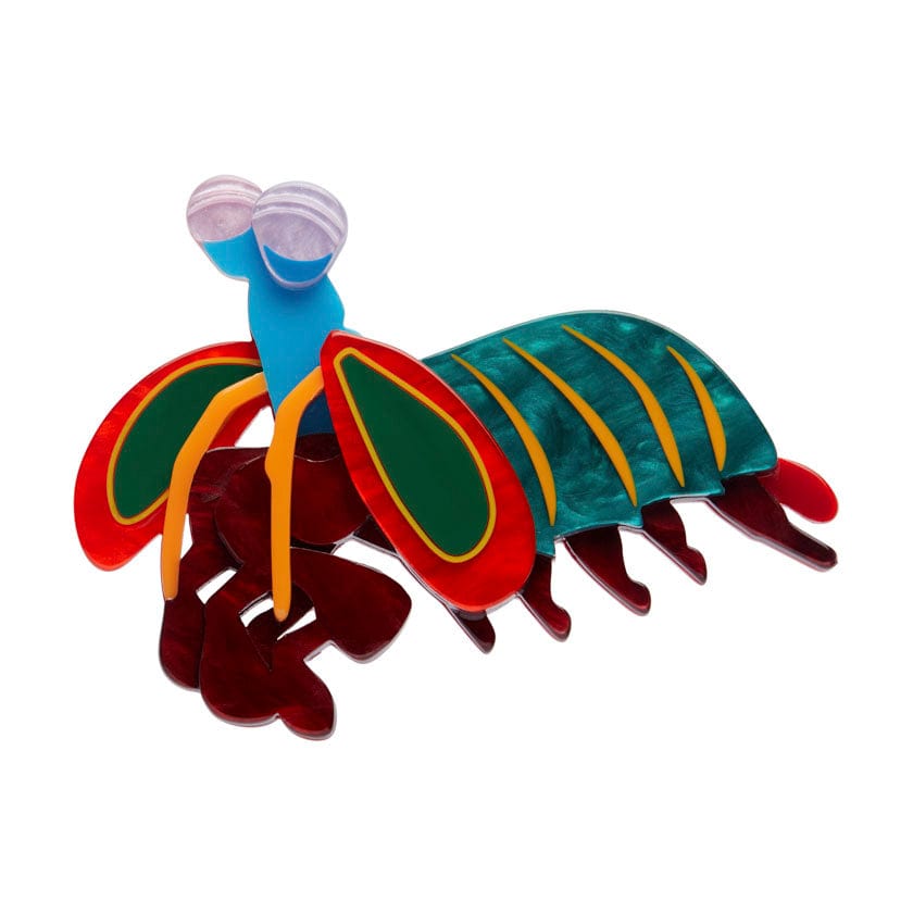Peacock Mantis Shrimp Brooch - Erstwilder - Quirky Resin and Enamel Accessories