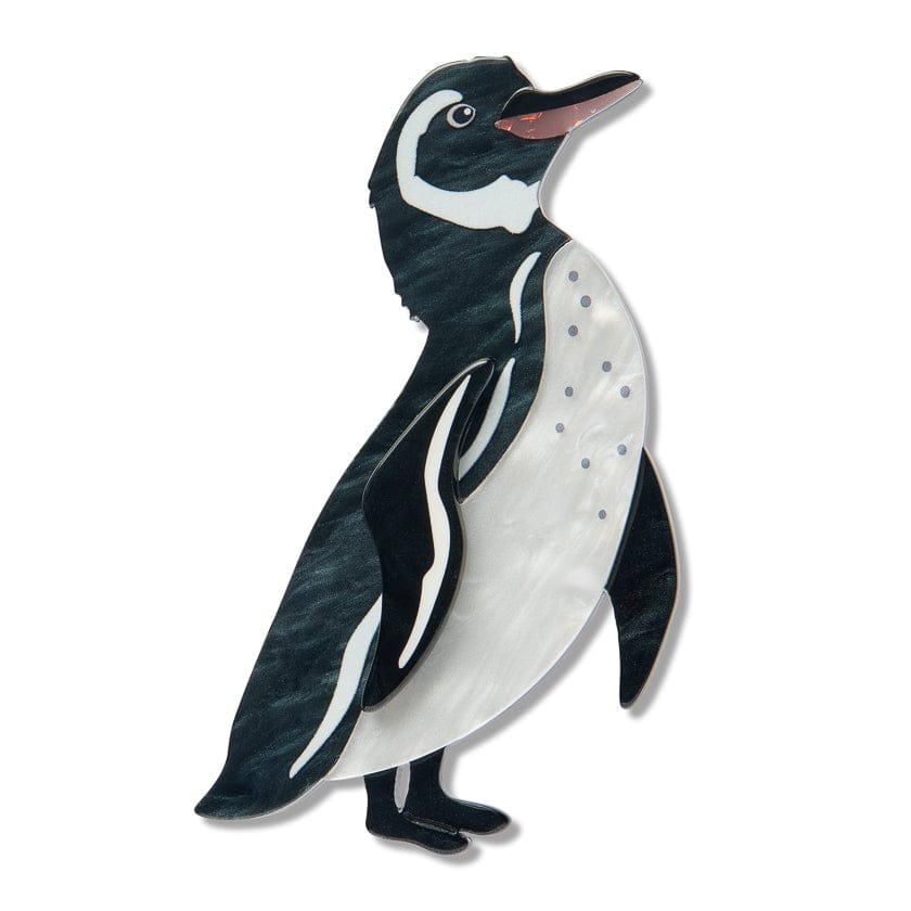 Galapagos Penguin Brooch