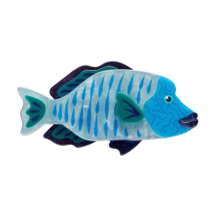 Maori Wrasse Brooch  -  Erstwilder  -  Quirky Resin and Enamel Accessories