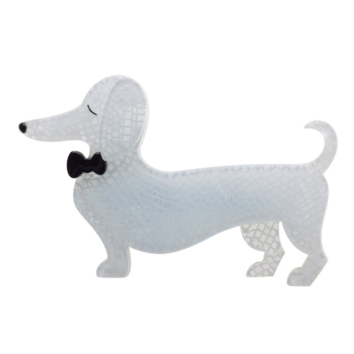 Spiffy the Sausage Dog