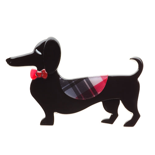 Spiffy the Sausage Dog