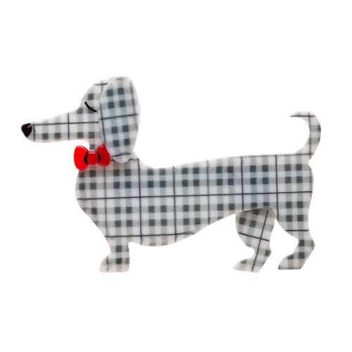 Spiffy the Sausage Dog