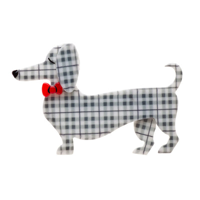 Spiffy the Sausage Dog
