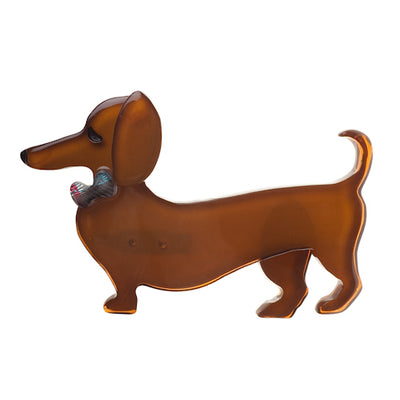 Spiffy the Sausage Dog