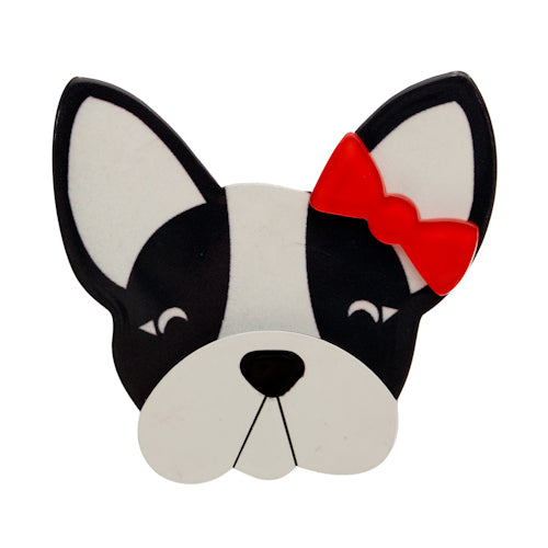 Felicia the Frenchie