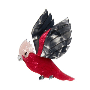 Girlberta Galah