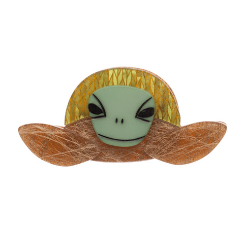 Stu the Surfin’ Sea Turtle