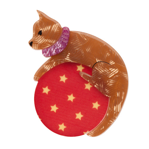 Cat the Co-ordinated