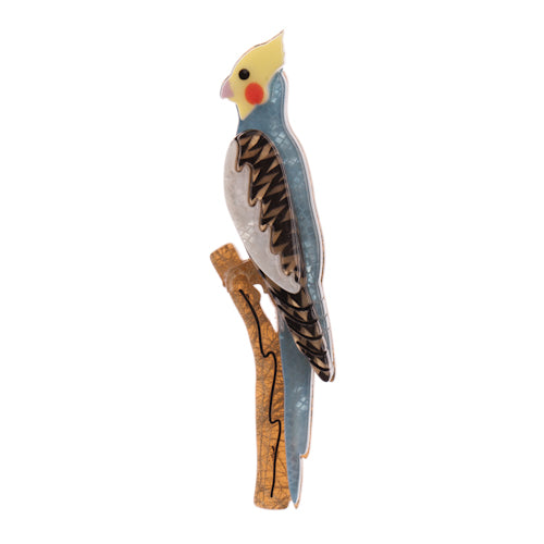 Connor Cockatiel