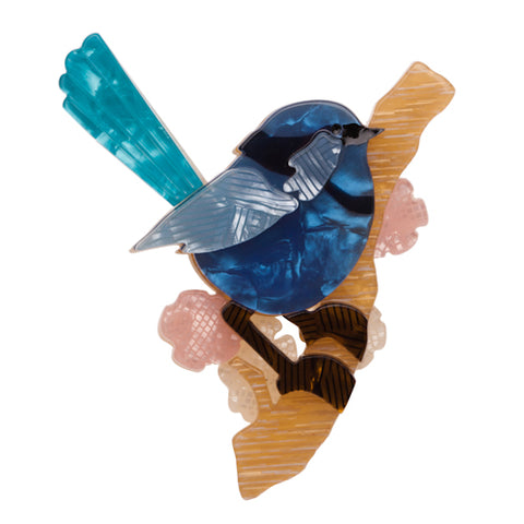 Phoebe the Fairy Wren