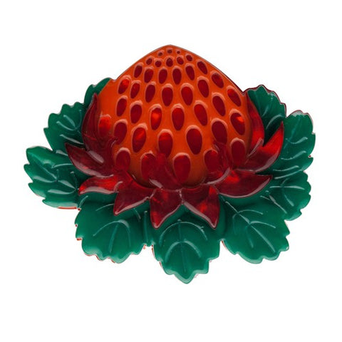 Telopea Waratah