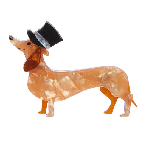 Dapper Dachsund