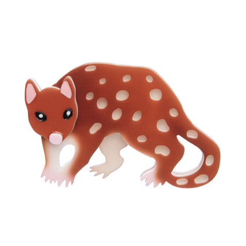 Spotty the Quoll