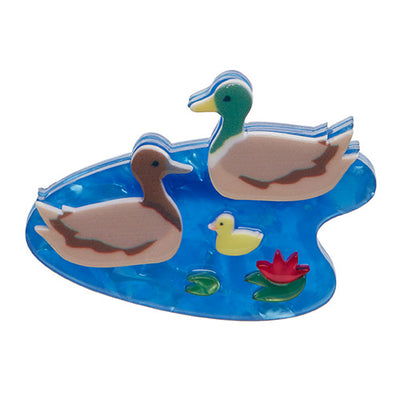 Duck and Drakes