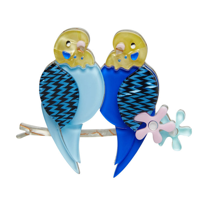 Best Budgies