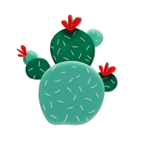 Cuddly Cactus