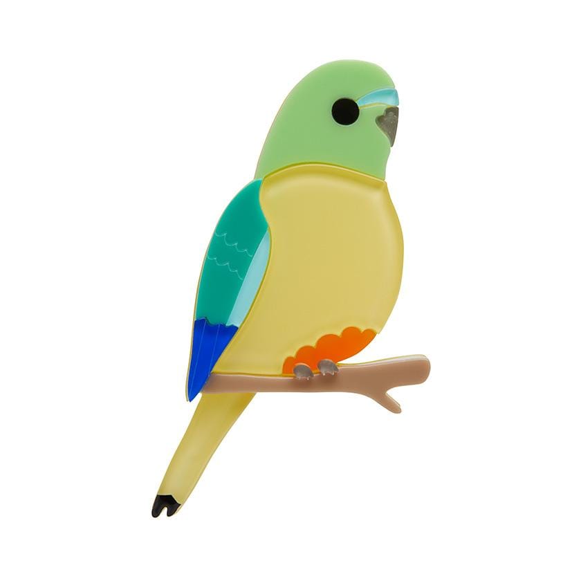 Erstwilder Radiant Rambler Parrot Brooch BH6862-6040