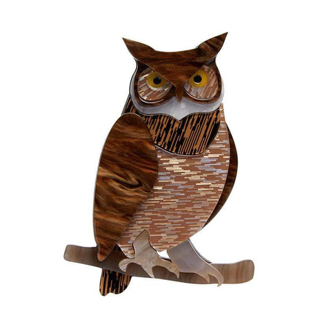 Erstwilder Gillian the Giving Owl Brooch BH7091-9291