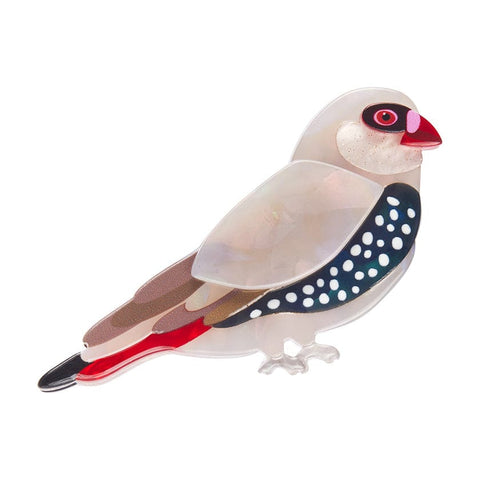 A Finch by Any Other Name Brooch  -  Erstwilder  -  Quirky Resin and Enamel Accessories