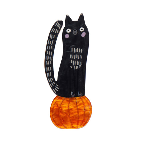 Pumpkin Time Kitty Brooch  -  Erstwilder  -  Quirky Resin and Enamel Accessories