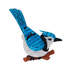 Blue Jay Way Brooch